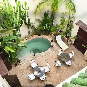 Les Ammonites And 4*, Marrakesh Marruecos